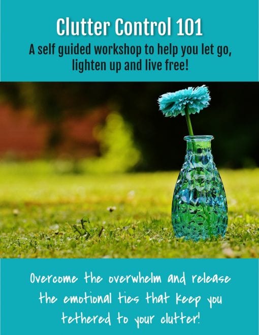 Clutter Control 101 Self Guided Workshop